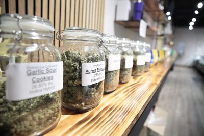 Voters in some of the most conservative states to weigh in on recreational pot
