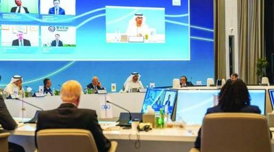 UAE to Revise Energy Strategy to Align with Climate Neutrality Goal
