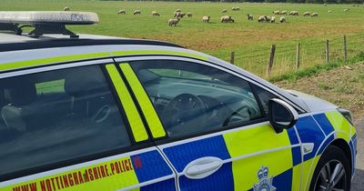Police patrol Nottinghamshire country park over reports of illegal fishing