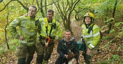 Fire crews rescue springer spaniel stuck on a 'very steep cliff edge' in County Durham