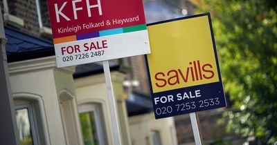 First-time buyers dropped significantly after mini-budget announcement