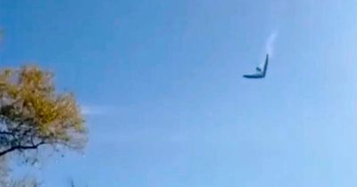 Two people die in tragic hang glider accident as onlookers watch on in horror