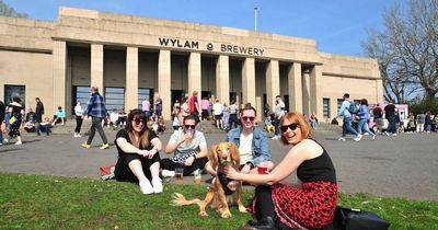 Newcastle city centre food festival will be a 'safe space' for dogs this Bonfire Night