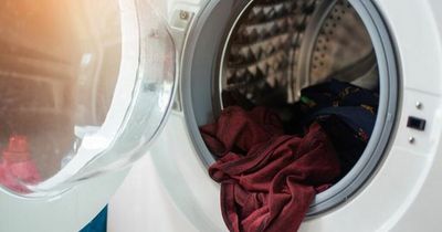 Seven-hour window when washing machines are cheapest to run