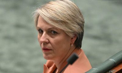 ‘I would get rid of them’: Tanya Plibersek said she was against stage-three tax cuts, constituent claims