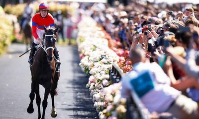 C’mon Melbourne, we can love sport without fawning over a predatory horse race