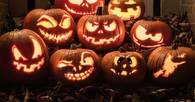 Halloween warning as 'dumping' pumpkins harms hedgehogs, warn Scots experts