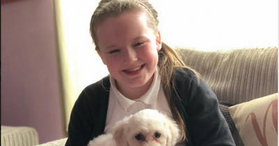 Brave Edinburgh schoolgirl rushes to help pet dog hurt in horrific hit-and-run
