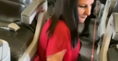 Disabled passenger forced to CRAWL off plane because a wheelchair wasn't available