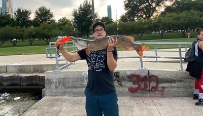 Targeting northern pike with muskie lures on the Chicago lakefront