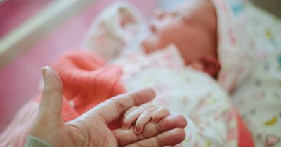 Experts issue warning: 'Don't turn to TikTok for fertility advice'