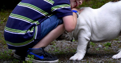 Pregnant mum issues husband ultimatum after asking him to get rid of son's dog