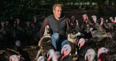 Farmer who lost 10,000 turkeys due to bird flu warns of shortages this Christmas