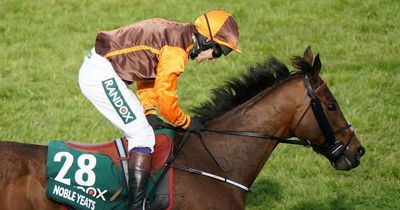 Grand National winner Noble Yeats back in top form at Wexford