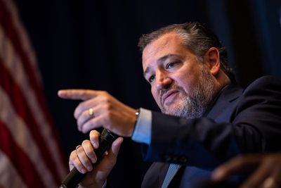 Ted Cruz appears to push GOP conspiracy theories about Paul Pelosi attack