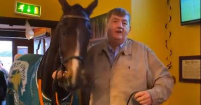 Hilarious scenes as 'Shark' walks horse into a pub