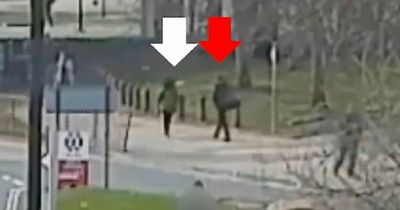 'Cowardly' thug stalks blind woman before pushing her over and snatching money in CCTV