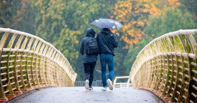Weather warning for rain issued for parts of Wales with some flooding 'likely'