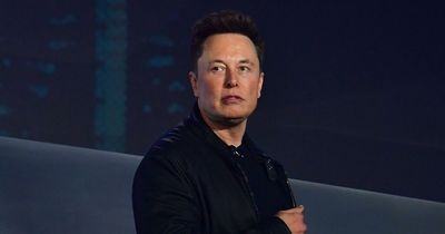 Elon Musk deletes own tweet suggesting conspiracy theory behind Paul Pelosi home attack