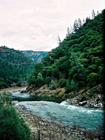 Hoopa Valley tribe sues over water contracts in California