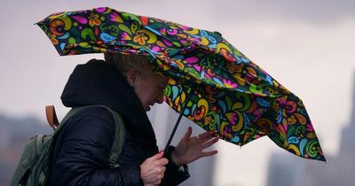 Wet and windy start to November for parts of UK as weather warnings issued