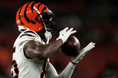 Tee Higgins salvages something for Bengals with great TD grab