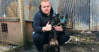 Scots dog fighting kingpin sent sick badger attack videos to hunting estate gamekeeper pal