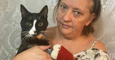 Leeds cleaner 'stressed' by £5,000 vet bill debt after cat survives fall from tower block