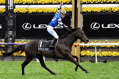 Gold Trip wins horse racing's Melbourne Cup as favourite fourth
