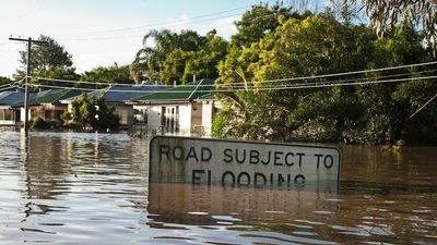 61 more flood-impacted Brisbane homes to be acquired by the government
