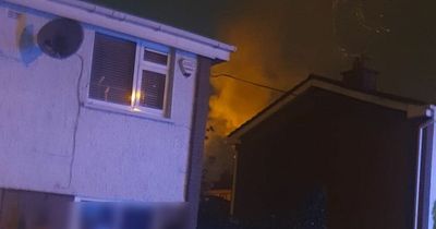 Halloween house fire horror as two 'lucky pups' rescued by Dublin Fire Brigade