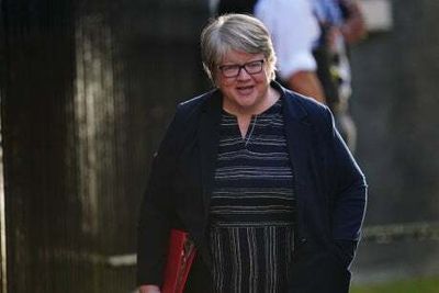 Londoners’ lives put at risk by Government’s bungled post-Brexit targets to tackle toxic air, warns watchdog