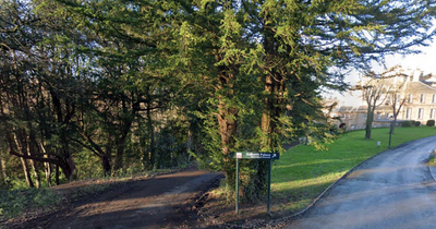 Dalkeith Country Park warn families after toddler 'ate' poisonous berry