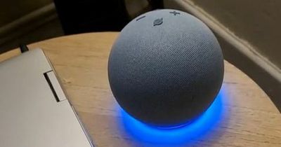 Dad gobsmacked by Alexa's brutal response when he asked for some parenting advice