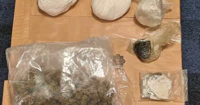 Gardai make major Halloween drugs seizure as pair arrested in Cork