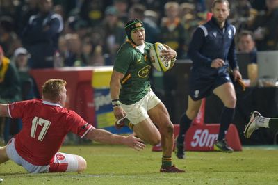 Cheslin Kolbe handed new role by South Africa for Ireland clash