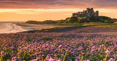 Northumberland castle named one of the most beautiful in Europe by Condé Nast Traveller