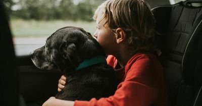 Mum slammed for forcing husband to get rid of son's pet dog over fear