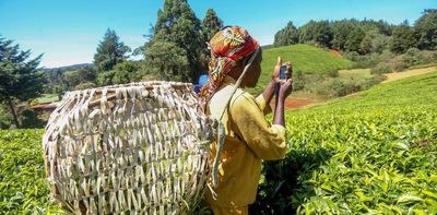 Digital solutions are boosting agriculture in Kenya, but it's time to scale up. Here's how