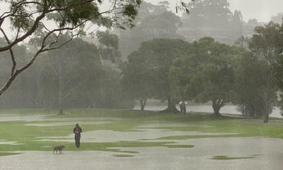 Australia’s wettest towns, including the Sydney golf course that has recorded 213% of its average yearly rainfall