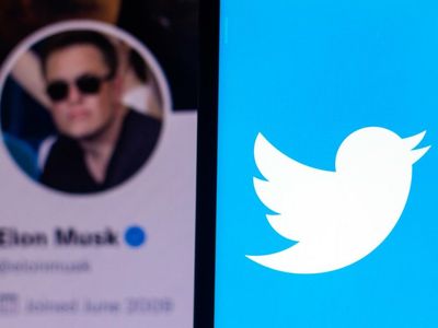 Stephen King, Kara Swisher, Hank Green And A Whole Lot Of People Are Mad At Elon Musk's Paid 'Blue Ticks' Plan