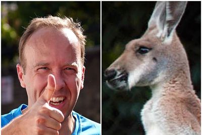 I’m looking forward to Matt Hancock eating a kangaroo’s penis, says local Tory
