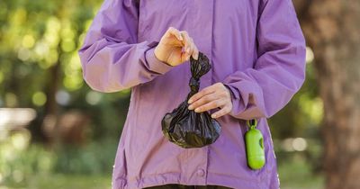 'Someone put dog poo in bags outside their house for trick or treaters'