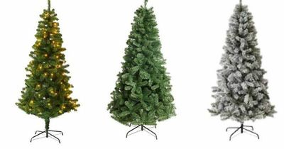 Wilko slashes a massive 50% off Christmas trees - and the offer ends tonight!