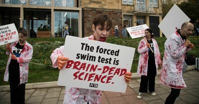 PETA protests at University of Bristol dressed as 'zombie scientists'