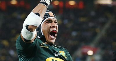 World Champions South Africa name side for Aviva Stadium clash with Ireland