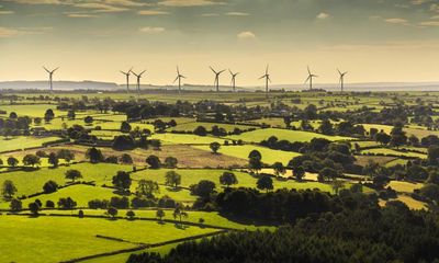 Post-Brexit policy chaos may mean farmers miss nature-friendly payments