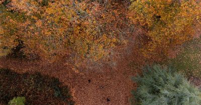 First 10 months of 2022 make it warmest year on record so far - Met Office