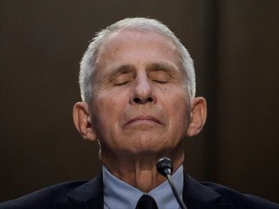 Conservatives freak out over Fauci as economist calls for ‘pandemic amnesty’ in op-ed