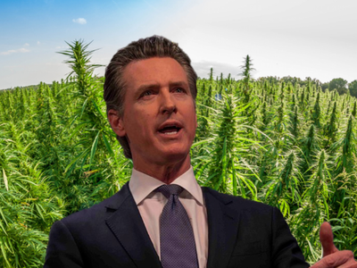Gov. Gavin Newsom Seeks Interstate Cannabis Trade: Could California Supply The Nation?